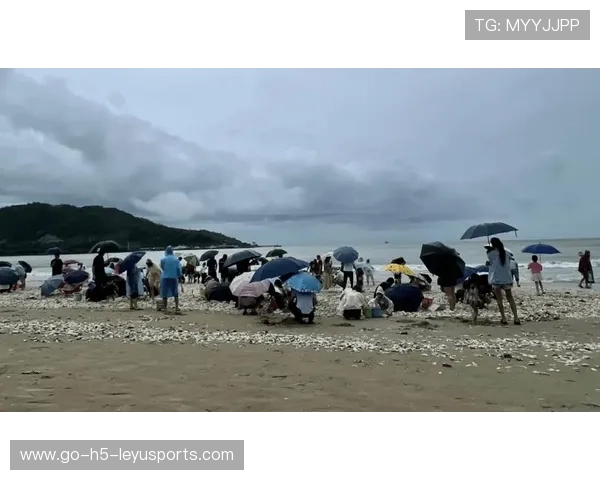 台风后赶海活动频繁，惠州加强安全提示，台风过后赶海视频