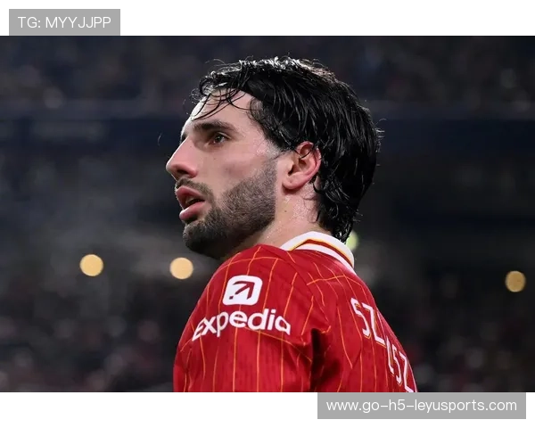 索博少年梦实现!与偶像C罗在欧洲杯相遇,索博什么意思 索博少年梦实现!与偶像C罗在欧洲杯相遇,索博什么意思